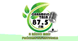 Rádio Carmelotaia