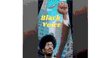 Radio Black Voice