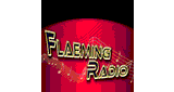 Flaemingradio