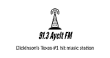 91.3 Ayclt FM