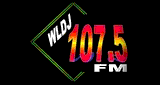 WLDJ-LP 105.5 FM