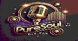 PureSoul Digital (R&B/Soul)