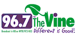 The Vine