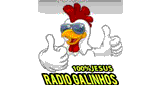 Radio Galinhos
