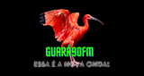 GUARÁ90FM