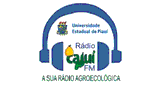 Rádio Cajuí