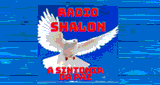 Rádio Shalon a Sintonia Da Paz