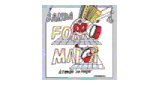 Web rádio forró maior guarabira