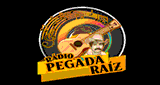 Rádio Pegada Raiz