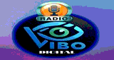 Radio Vibo Fm