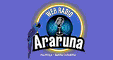 Web Rádio Araruna