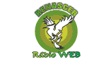 Renascer R&aacute;dio Web