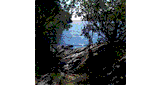 24/7 Country Walks Radio