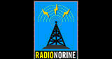 Radionorine