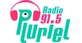 Radio Pluriel FM