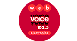 Voice Electronica