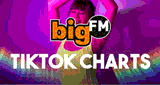 bigFM – TikTok Charts