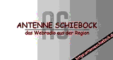 Antenne Schiebock