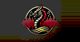 Verrücktes-Drachen-Radio