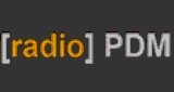 Radio PDM