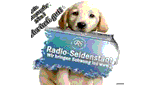 Radio Seidenstadt