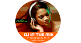 ToneArt DJ In The Mix