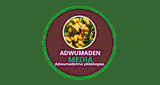 Adwumaden Media