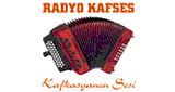 Radyo Kafses