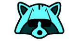 Racoon Radio